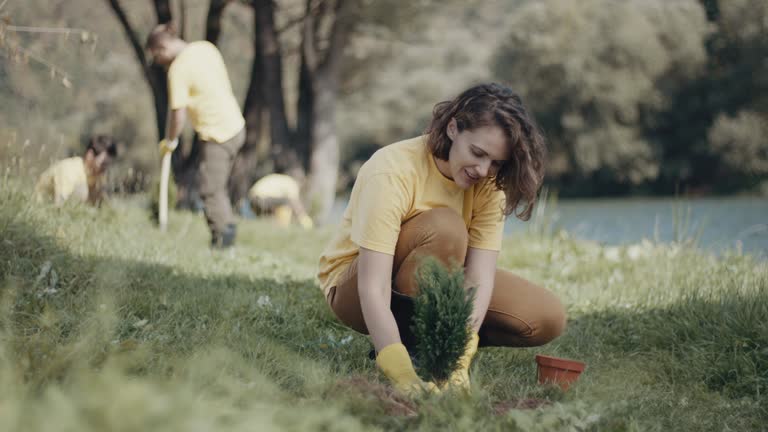 Best Stump Grinding and Removal  in Evergreen, AL